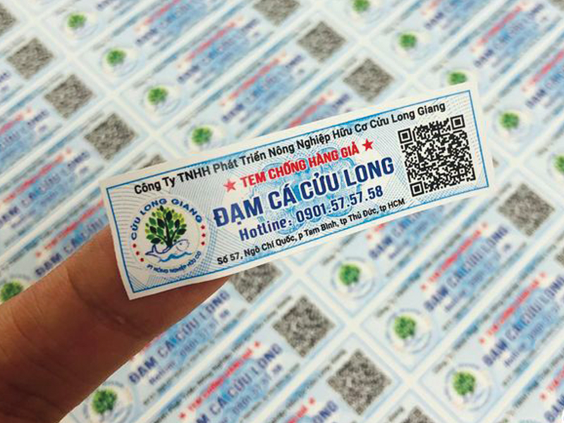 Tem vỡ là gì?